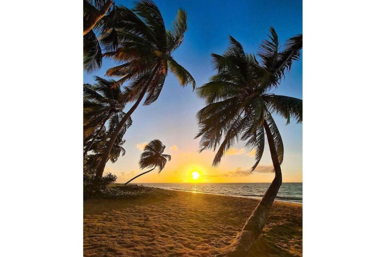 Maré Suítes Patacho Pôrto de Pedras Exterior foto